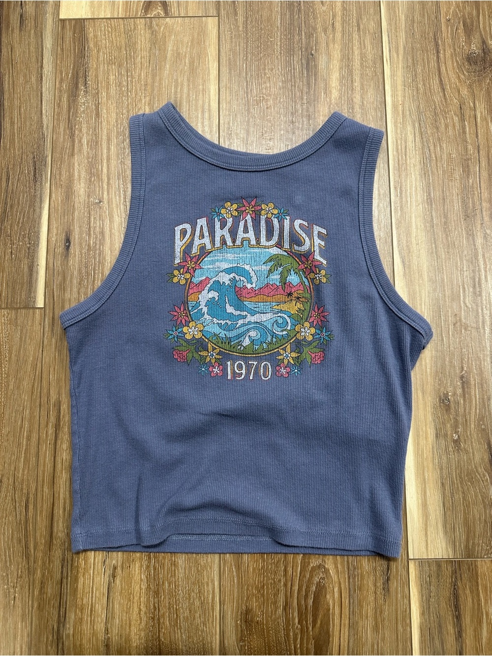 Hollister Navy Ribbed Graphic Crop Tank